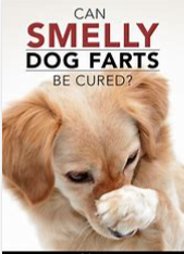 Smelly Dog Farts